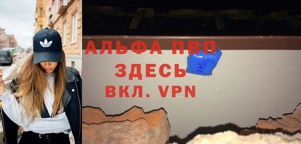 крисы Баксан