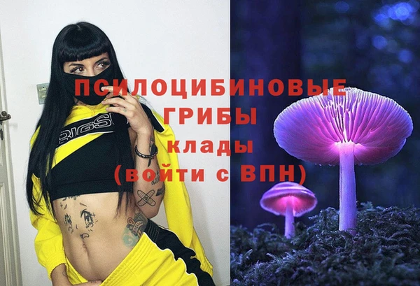 крисы Баксан