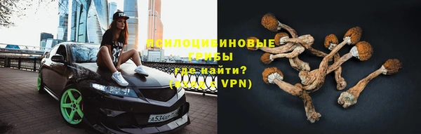 СК Балахна