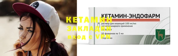 крисы Баксан