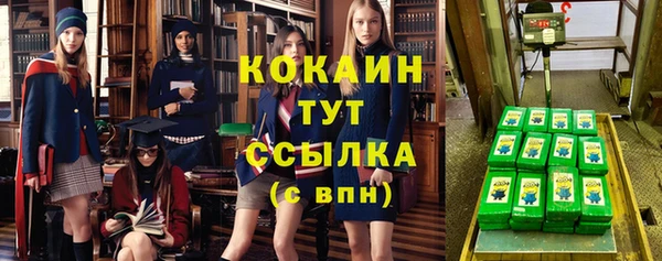 крисы Баксан